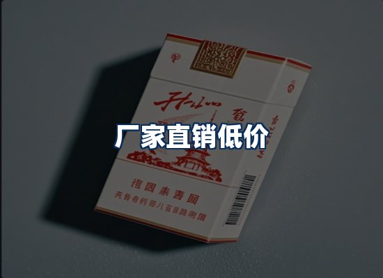 专业团队办公环境